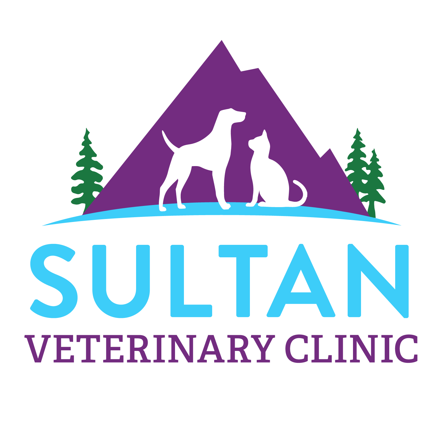 Vet Near Me 98294 Sultan Veterinary Clinic Sultan WA