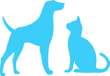 Why run with our pack